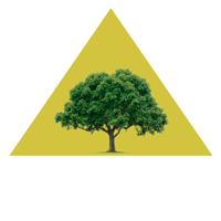 AMAI Prados